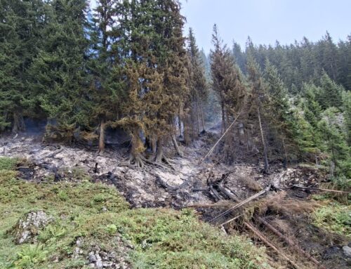 Bodenbrand im Alpgebiet von Ifersgunten fordert Einsatzkräfte über zwei Tage